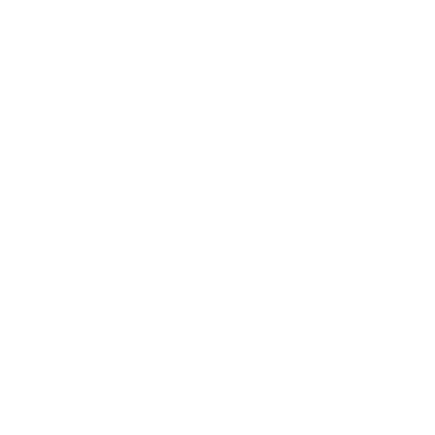 icon_1 icon_1