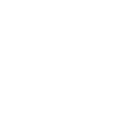 icon_2 icon_2